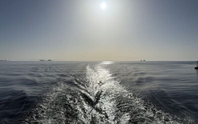 Technique et vérité : les clés de notre avenir