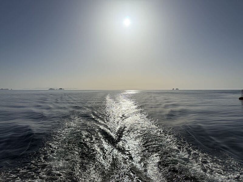 Technique et vérité : les clés de notre avenir Technique et vérité : les clés de notre avenir