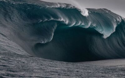 Chroniques d’un petit industriel qui rêve de réenchanter la France – Episode 50