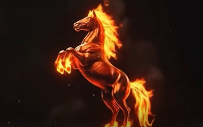 Belle année du Cheval